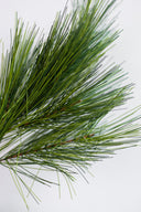 Rama Decorativa De Pino Redrock