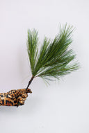 Rama Decorativa De Pino Redrock