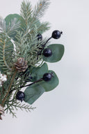 Rama Eucalipto Silver Dollar