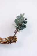 Rama Eucalipto Silver Dollar