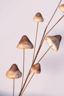 Rama Hongos Brown & Cream