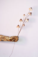 Rama Hongos Brown & Cream