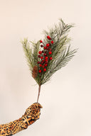 Rama De Pino & Pinecone - Berries