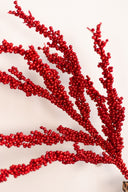 Rama Roja Berry Spray