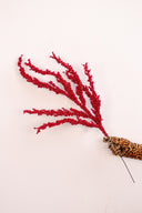 Rama Roja Berry Spray