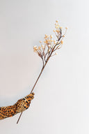 Rama Navidad Sapium Beige