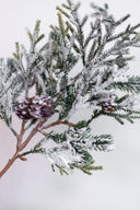 Rama Snowy Pine / Pinecone