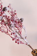 Rama Berries & White