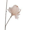 Rama Flor de Plumas