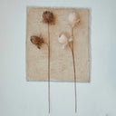 Rama Flor de Plumas