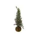 Arbol Navideño Ice & Musgo
