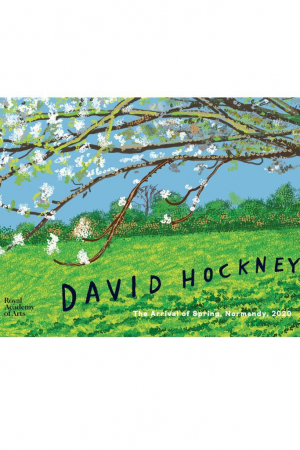 Libro David Hockney