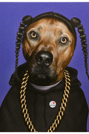 Cuadro Dog Rap