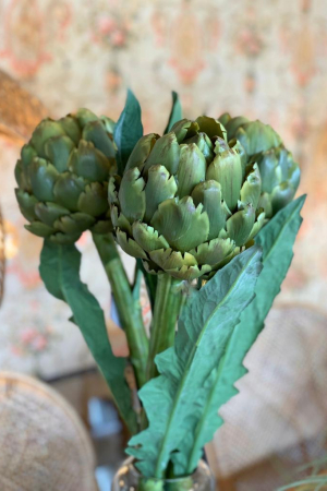 Flor Artichoke