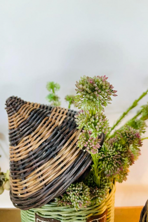 Rama Sedum Green