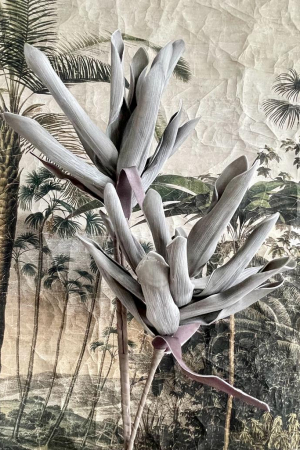 Flor Protea Grey x 2