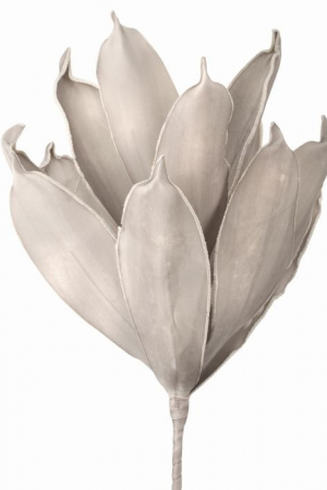 Flor Suculenta Ivory