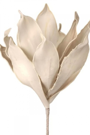 Flor Suculenta White