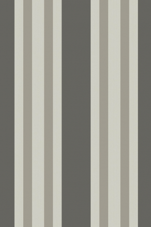 Papel Colgadura Polo Stripes