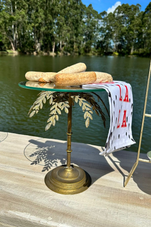 Tortera Palm