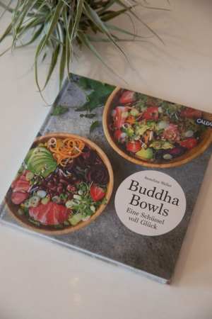 manual de cocina budista