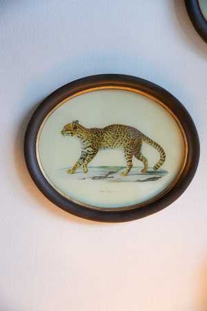 Cuadro Oval Frame With Feline