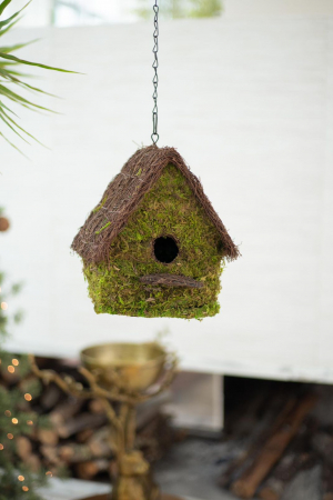 Birdhouse Musgo