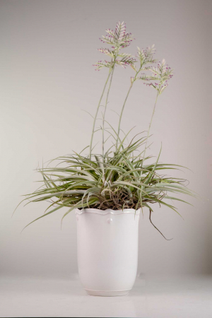 Florero Cerámico Blanco