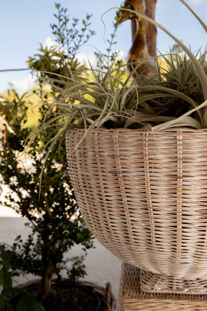 Bowl Charleston Rattan