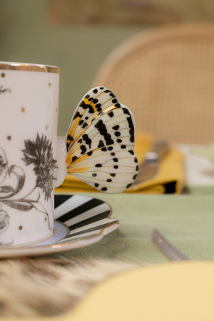 Butterfly Toile Mug & Saucer Set