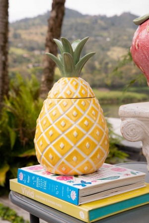 Organizador Pineapple